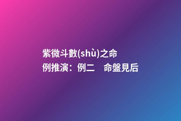 紫微斗數(shù)之命例推演：例二　命盤見后
